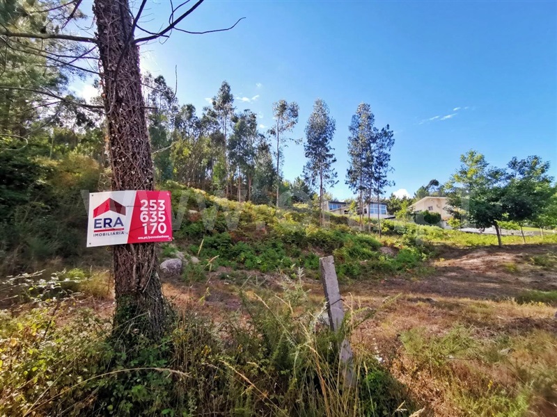 Terreno / Póvoa de Lanhoso, Galegos