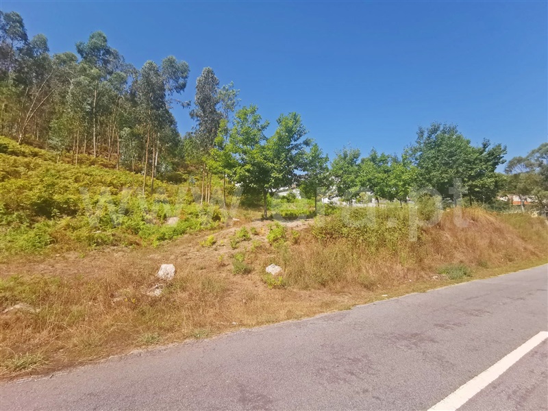 Terreno  Póvoa de Lanhoso, Galegos - 1270454 - 6