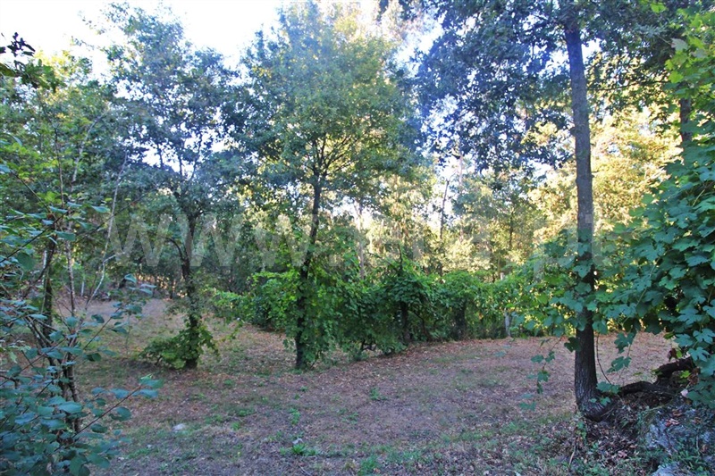 Terreno  Póvoa de Lanhoso, Galegos - 1270456 - 2