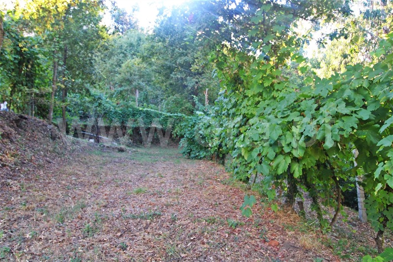 Terreno / Póvoa de Lanhoso, Galegos