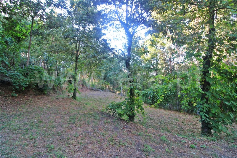 Terreno  Póvoa de Lanhoso, Galegos - 1270456 - 5