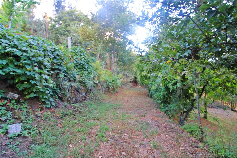Terreno  Póvoa de Lanhoso, Galegos - 1270456 - 6