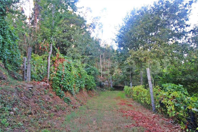 Terreno  Póvoa de Lanhoso, Galegos - 1270456 - 7