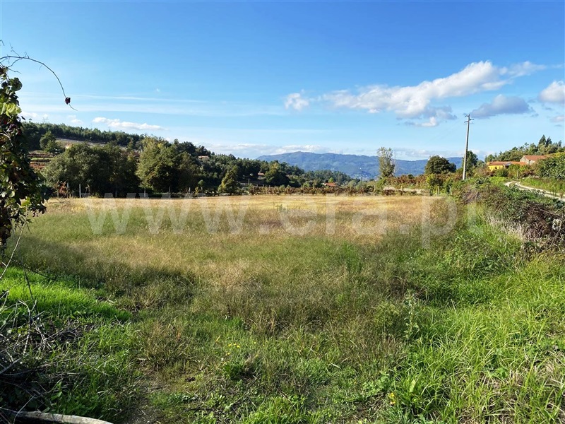 Terreno  Póvoa de Lanhoso, Geraz do Minho - 1040718 - 6