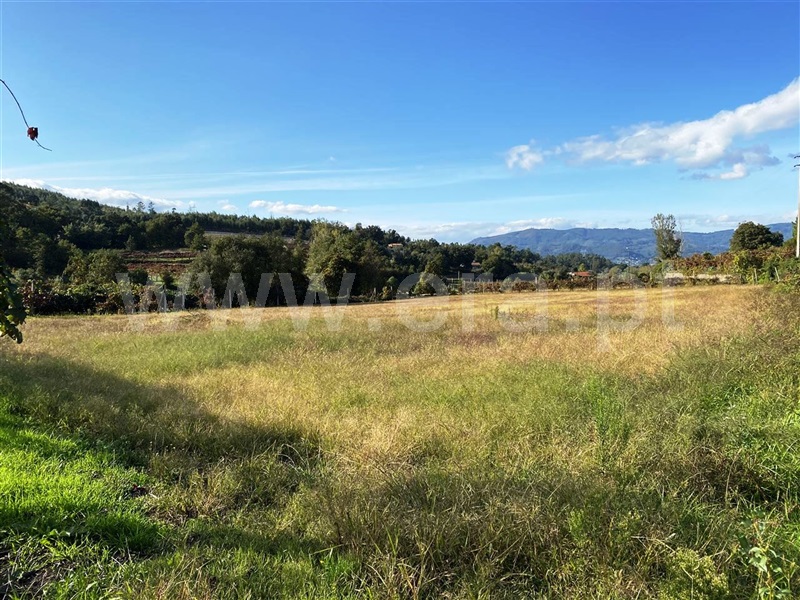 Terreno  Póvoa de Lanhoso, Geraz do Minho - 1040718 - 8