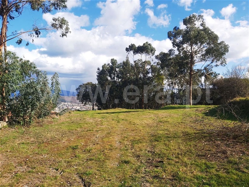 Terreno  Póvoa de Lanhoso, Lanhoso - 1306460 - 6