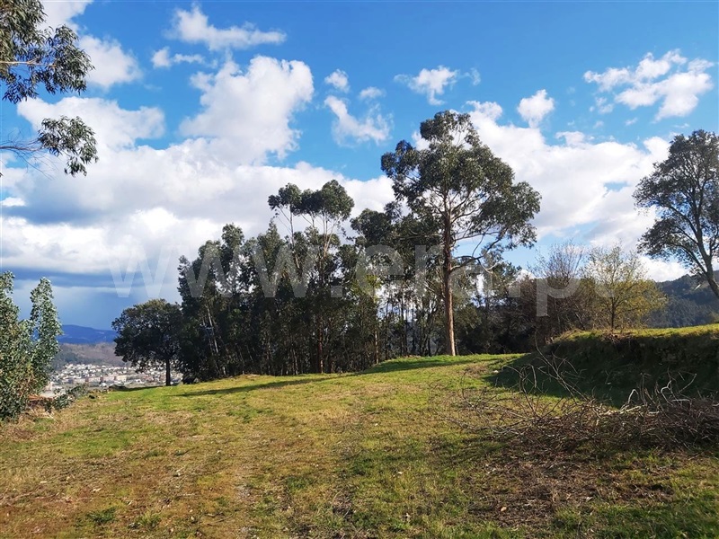 Terreno  Póvoa de Lanhoso, Lanhoso - 1306460 - 7