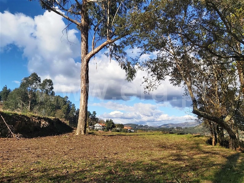 Terreno  Póvoa de Lanhoso, Lanhoso - 1306460 - 14