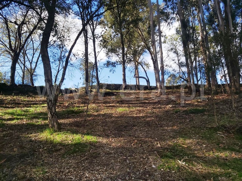 Terreno  Póvoa de Lanhoso, Lanhoso - 1306460 - 15