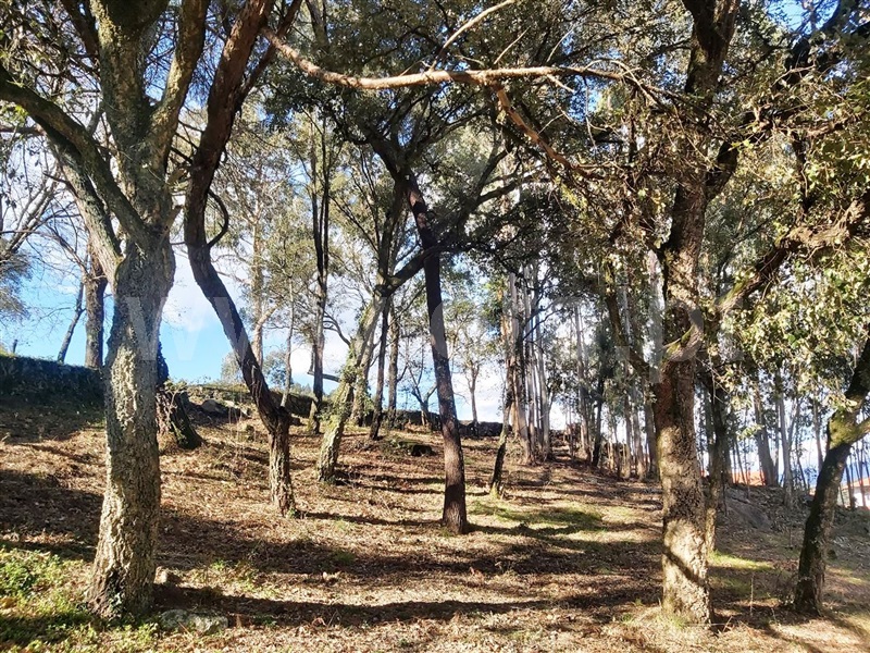 Terreno  Póvoa de Lanhoso, Lanhoso - 1306460 - 17