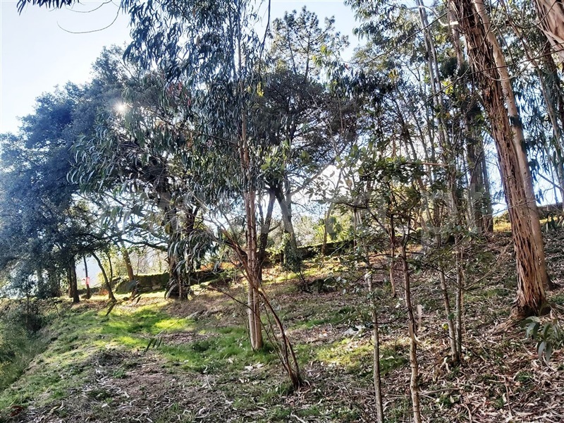 Terreno  Póvoa de Lanhoso, Lanhoso - 1306460 - 18