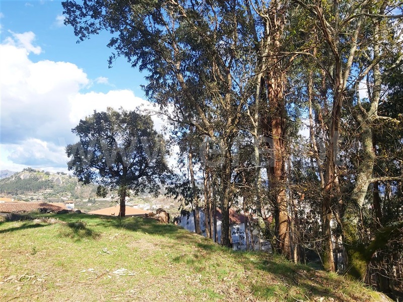 Terreno  Póvoa de Lanhoso, Lanhoso - 1306460 - 19