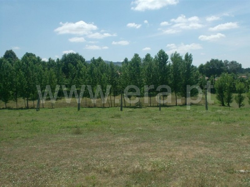 Terreno  Póvoa de Lanhoso, Monsul - 1345131 - 3