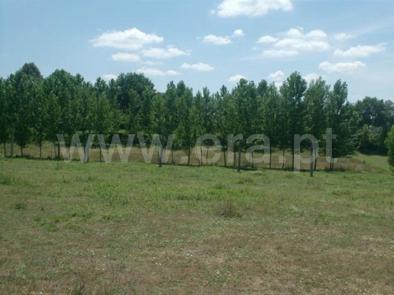 Terreno  Póvoa de Lanhoso, Monsul - 1345131 - 5