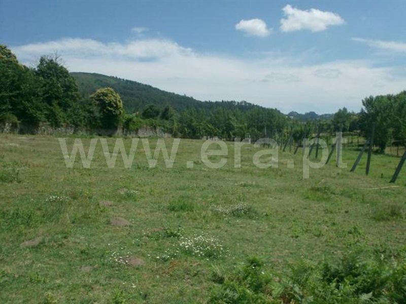 Terreno  Póvoa de Lanhoso, Monsul - 1345131 - 7