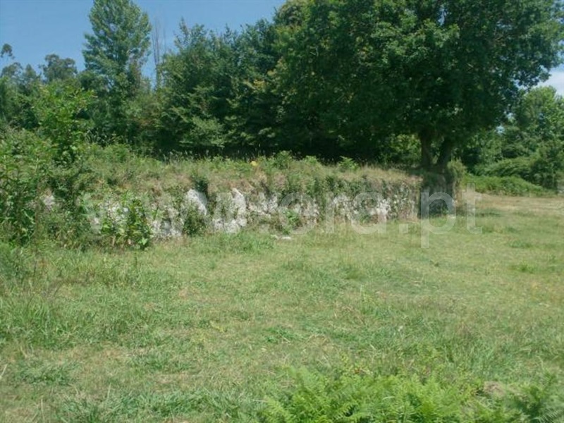 Terreno  Póvoa de Lanhoso, Monsul - 1345131 - 8