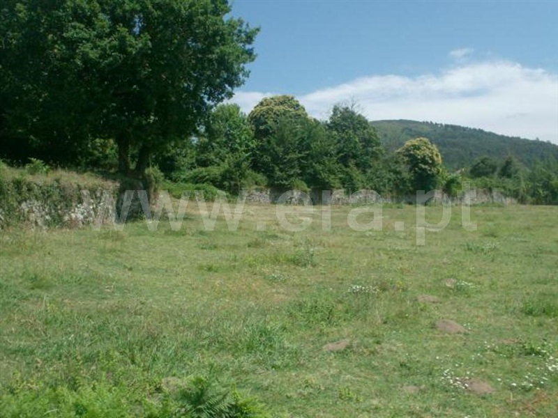 Terreno / Póvoa de Lanhoso, Monsul