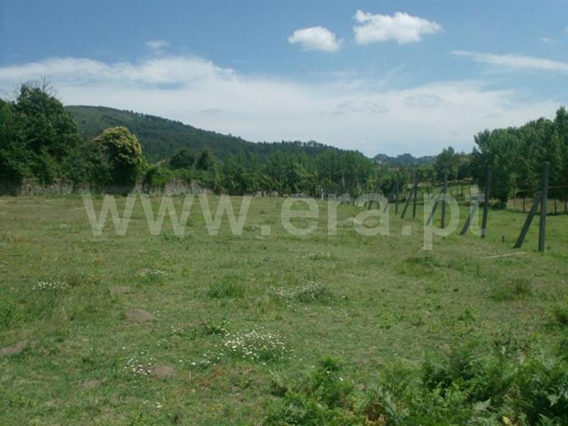 Terreno  Póvoa de Lanhoso, Monsul - 1345131 - 10