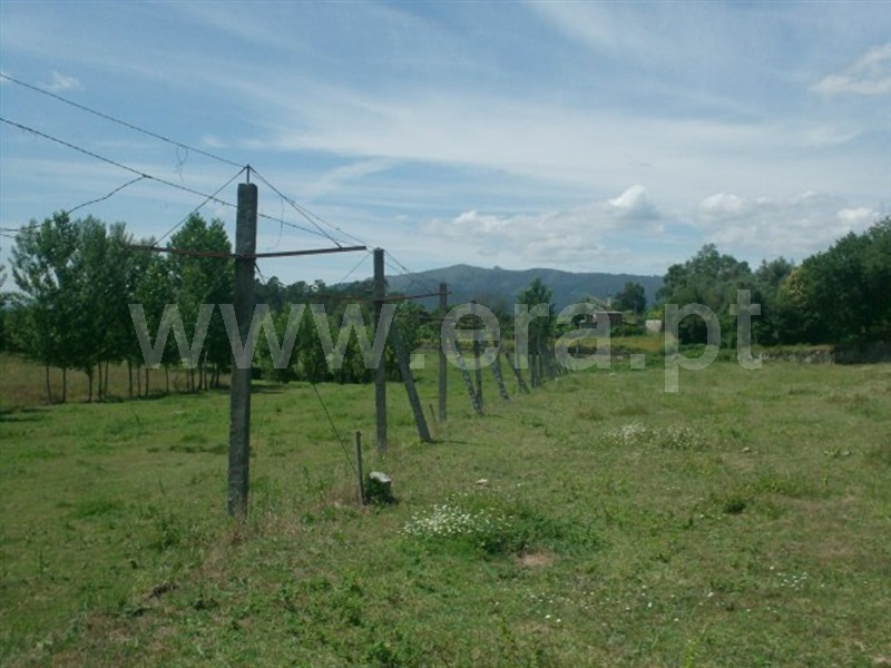 Terreno  Póvoa de Lanhoso, Monsul - 1345131 - 12