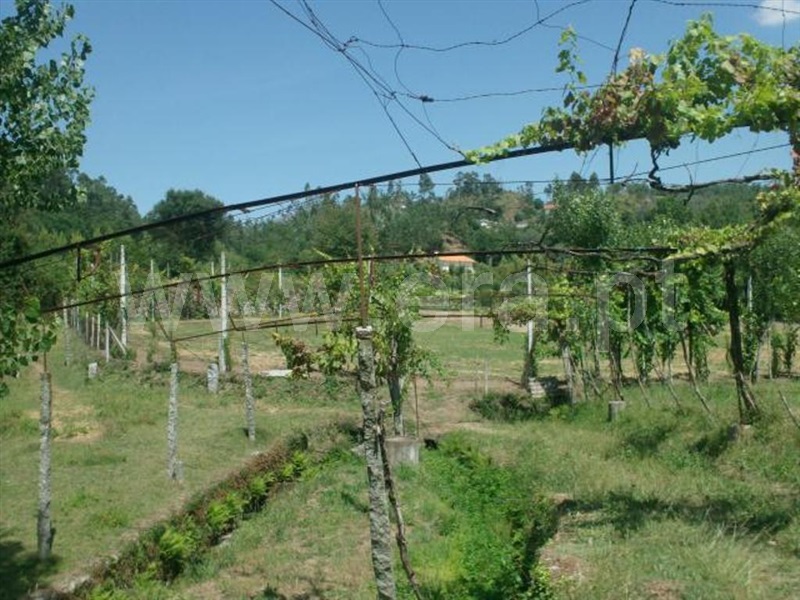 Terreno  Póvoa de Lanhoso, Monsul - 1345131 - 15