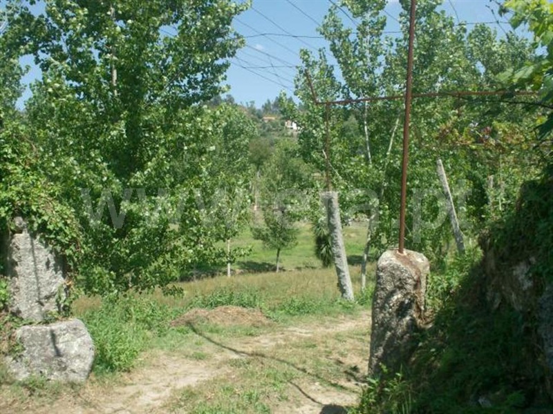 Terreno  Póvoa de Lanhoso, Monsul - 1345131 - 16