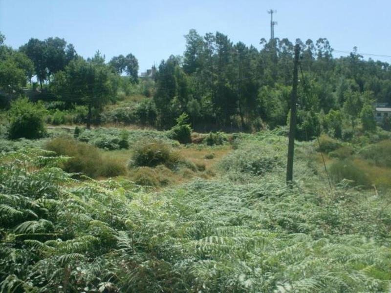 Terreno  Póvoa de Lanhoso, N.Sr.ªdo Amparo - 65780 - 26