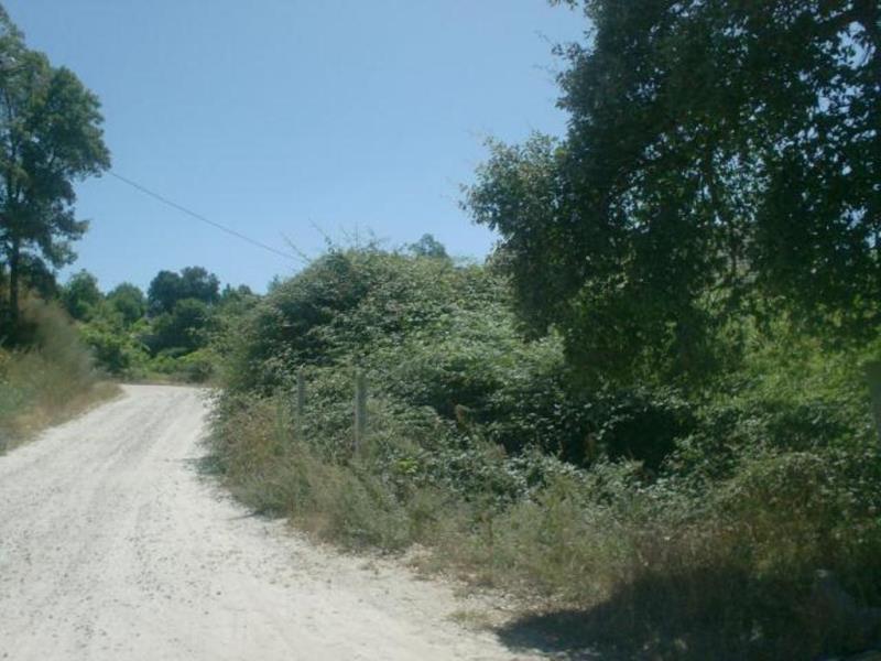 Terreno  Póvoa de Lanhoso, N.Sr.ªdo Amparo - 65780 - 15