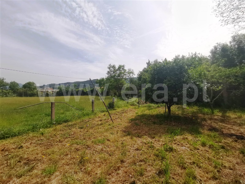 Terreno  Póvoa de Lanhoso, Póvoa de Lanhoso (Nossa Senhora do Amparo) - 1325638 - 10