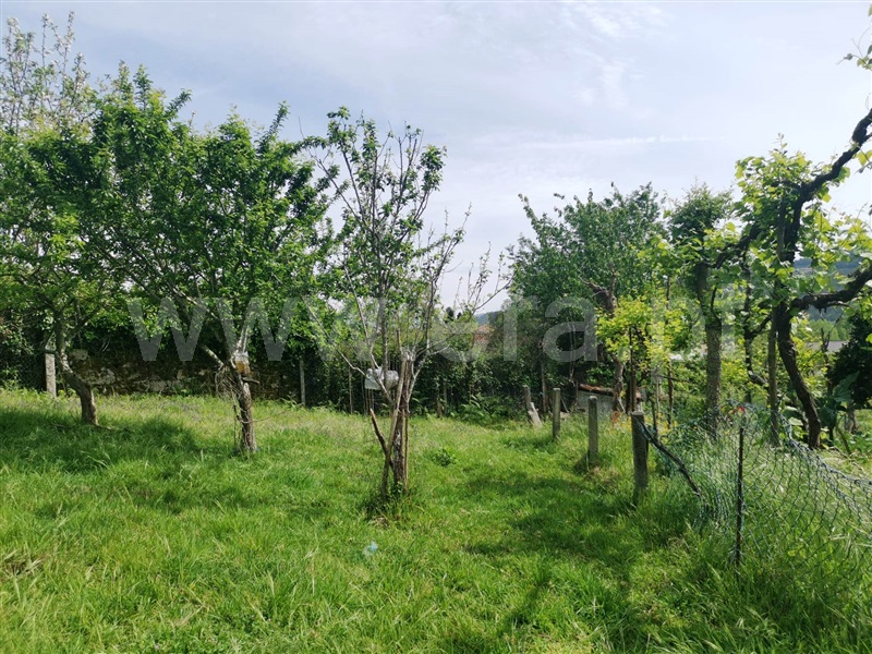 Terreno  Póvoa de Lanhoso, Póvoa de Lanhoso (Nossa Senhora do Amparo) - 1325638 - 12