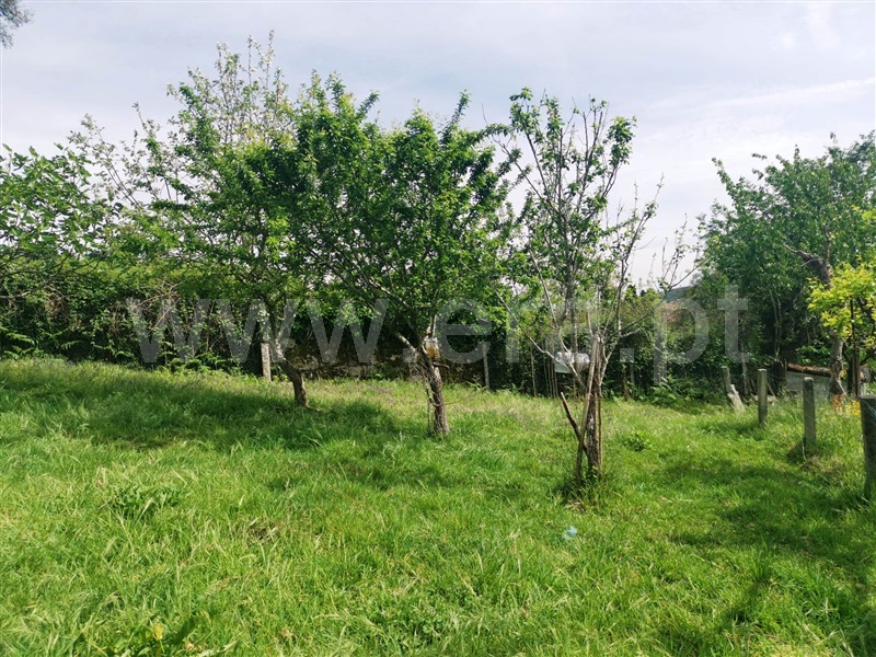 Terreno  Póvoa de Lanhoso, Póvoa de Lanhoso (Nossa Senhora do Amparo) - 1325638 - 13