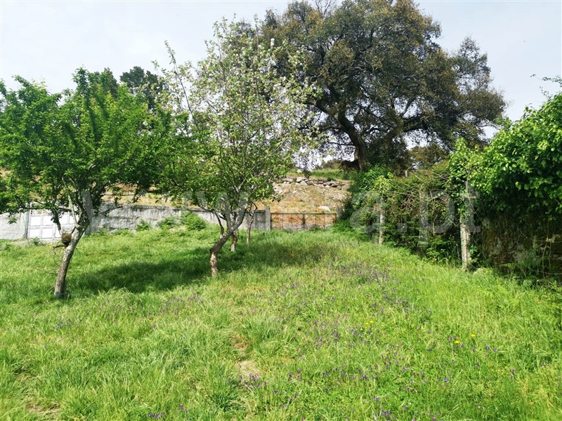 Terreno  Póvoa de Lanhoso, Póvoa de Lanhoso (Nossa Senhora do Amparo) - 1325638 - 14