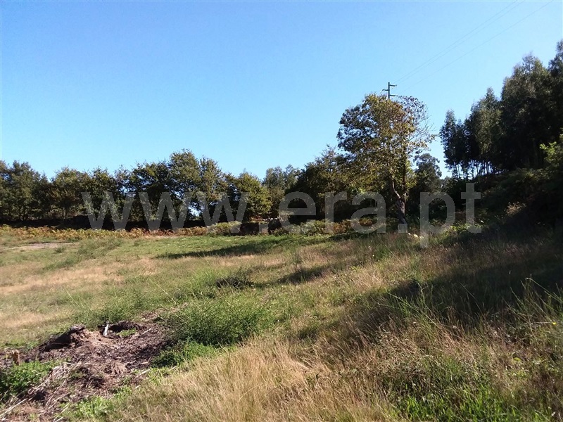 Terreno  Póvoa de Lanhoso, Serzedelo - 1044581 - 2