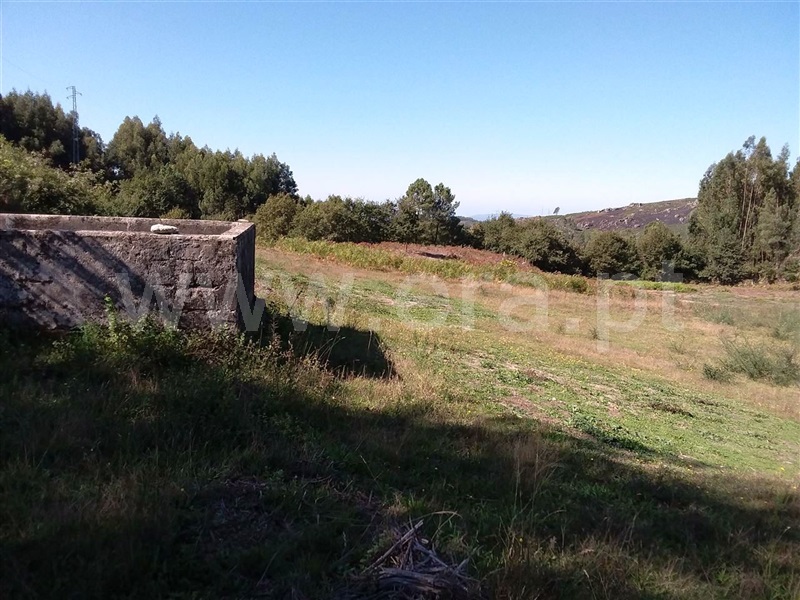 Terreno  Póvoa de Lanhoso, Serzedelo - 1044581 - 3