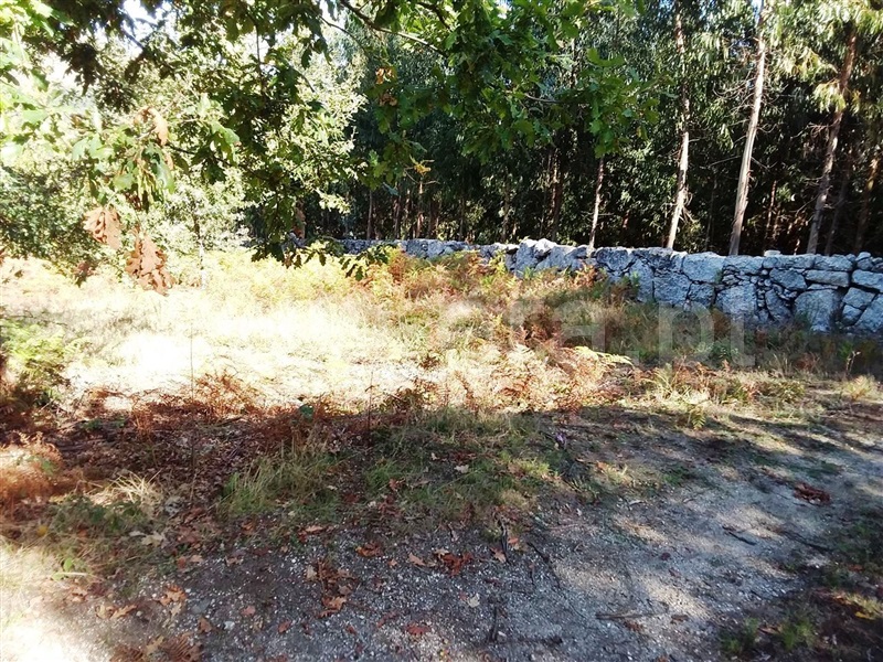 Terreno  Póvoa de Lanhoso, Serzedelo - 1044581 - 4