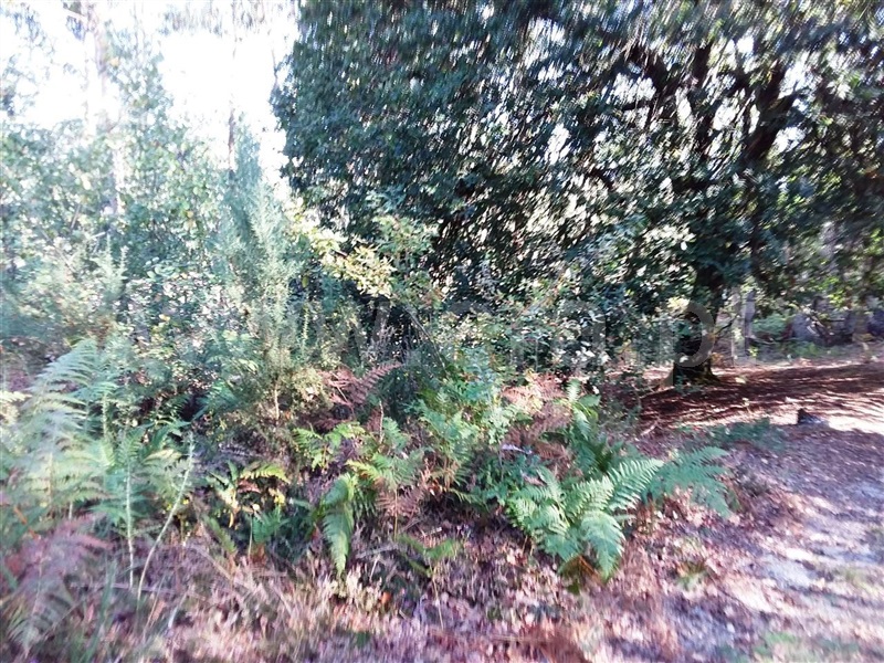 Terreno  Póvoa de Lanhoso, Serzedelo - 1044581 - 5