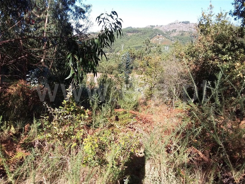 Terreno  Póvoa de Lanhoso, Serzedelo - 1044581 - 6