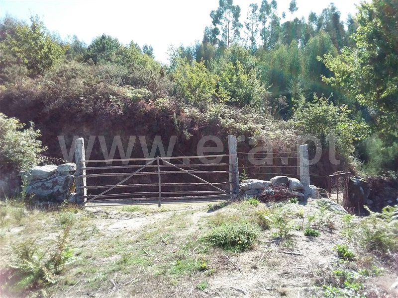 Terreno  Póvoa de Lanhoso, Serzedelo - 1044581 - 7