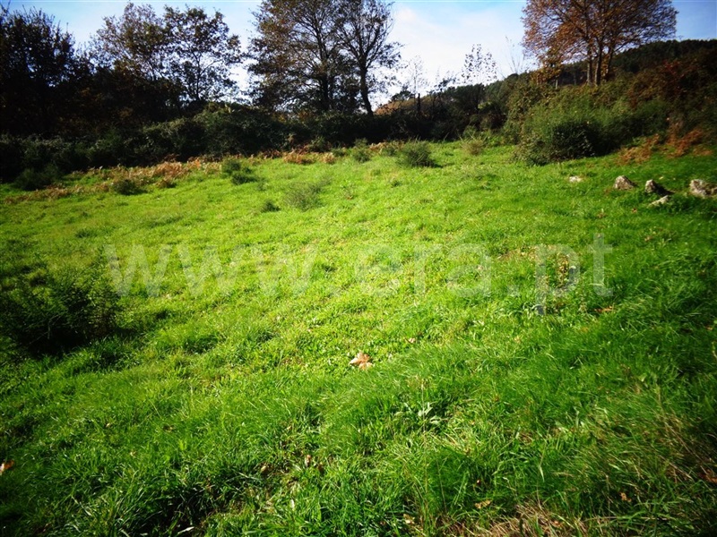 Terreno / Póvoa de Lanhoso, Serzedelo