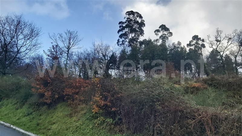 Terreno  Póvoa de Lanhoso, Serzedelo - 1457789 - 6