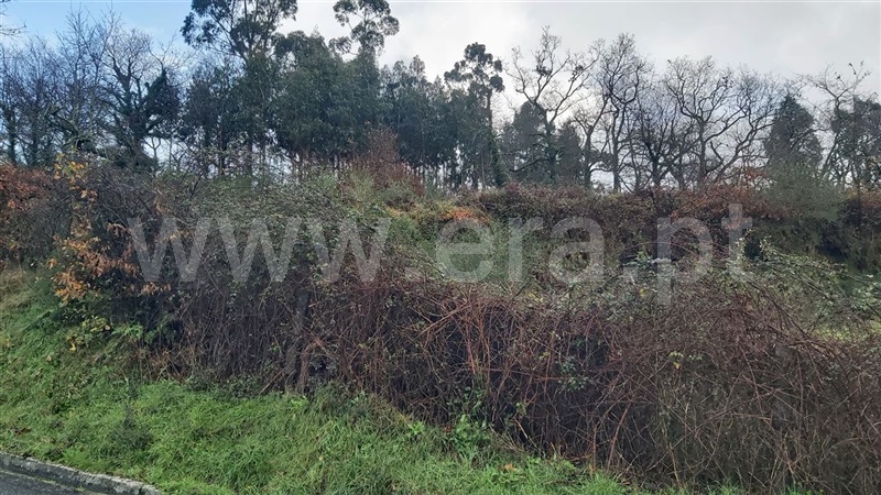 Terreno  Póvoa de Lanhoso, Serzedelo - 1457789 - 7