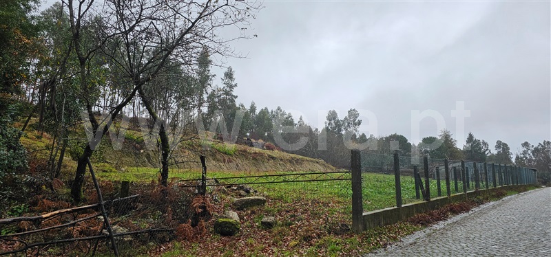 Terreno / Póvoa de Lanhoso, Serzedelo