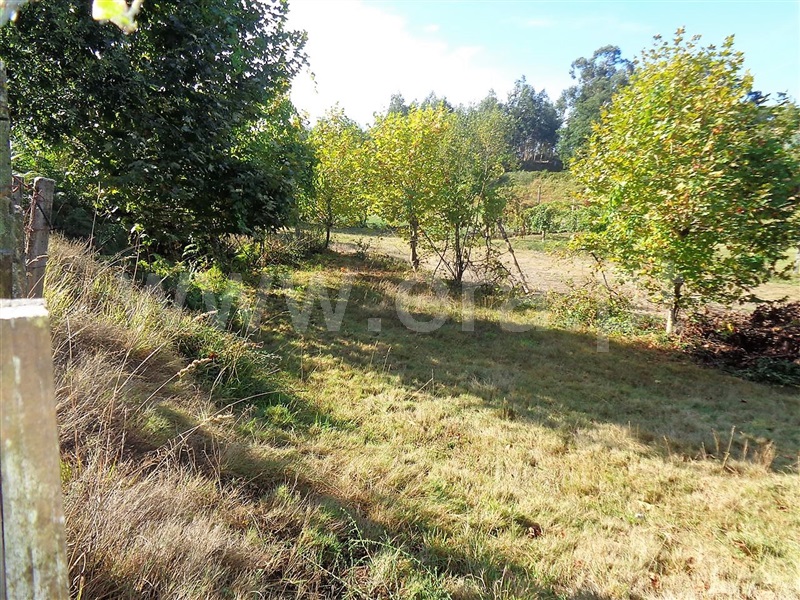 Terreno  Póvoa de Lanhoso, Serzedelo - 952217 - 5