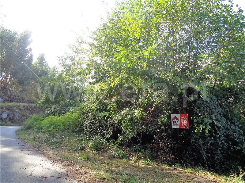 Terreno  Póvoa de Lanhoso, Serzedelo - 952217 - 6