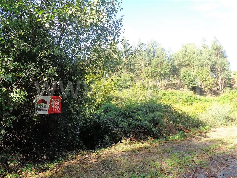 Terreno  Póvoa de Lanhoso, Serzedelo - 952217 - 7