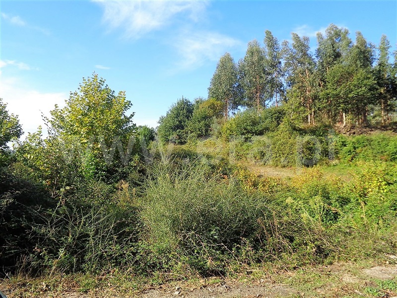 Terreno  Póvoa de Lanhoso, Serzedelo - 952217 - 8