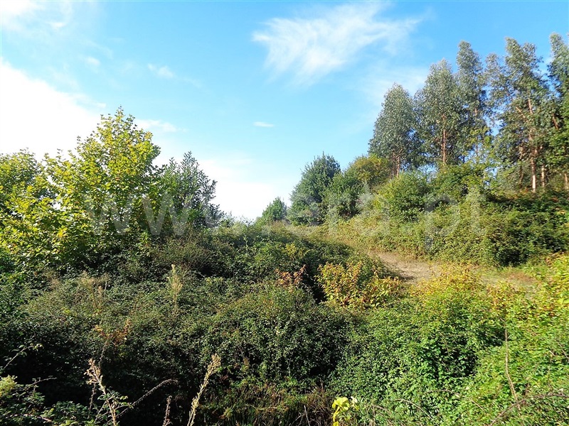 Terreno  Póvoa de Lanhoso, Serzedelo - 952217 - 9