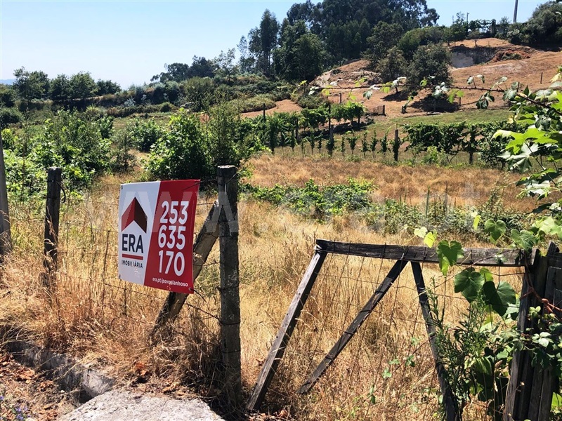 Terreno / Póvoa de Lanhoso, Serzedelo
