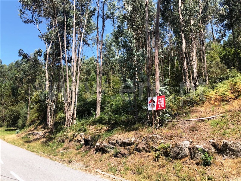 Terreno  Póvoa de Lanhoso, Serzedelo - 952217 - 11