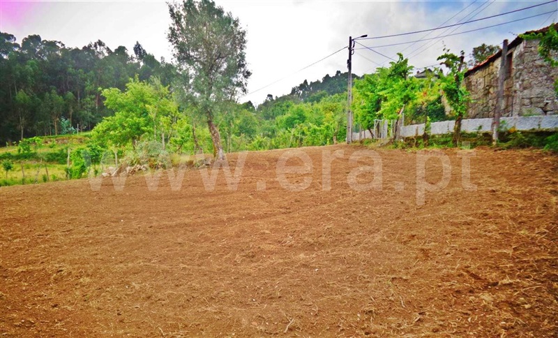 Terreno  Póvoa de Lanhoso, Sobradelo da Goma - 1332371 - 6