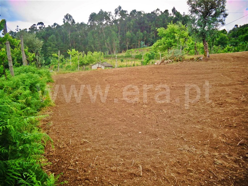 Terreno  Póvoa de Lanhoso, Sobradelo da Goma - 1332371 - 7